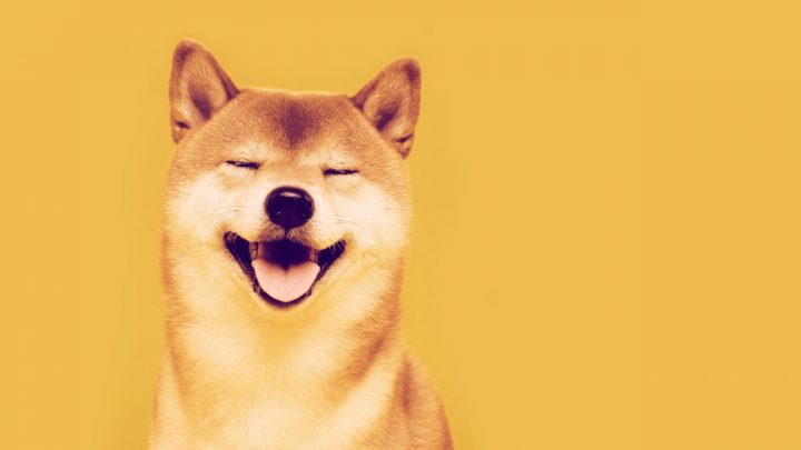 Las criptomonedas que podrán sustituir en 2022 a Shiba Inu